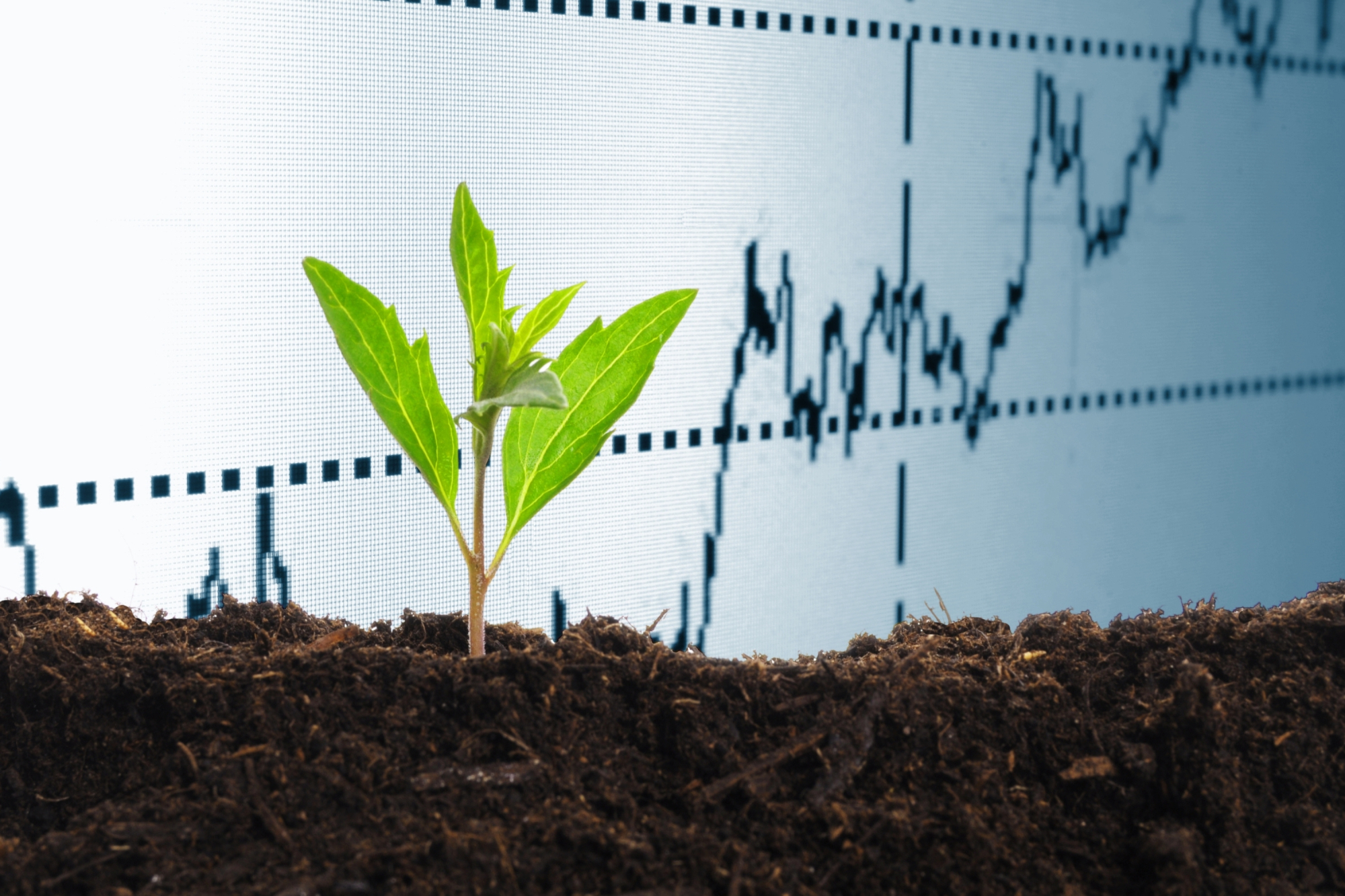 Green sprout with line graph in the background showing growth.