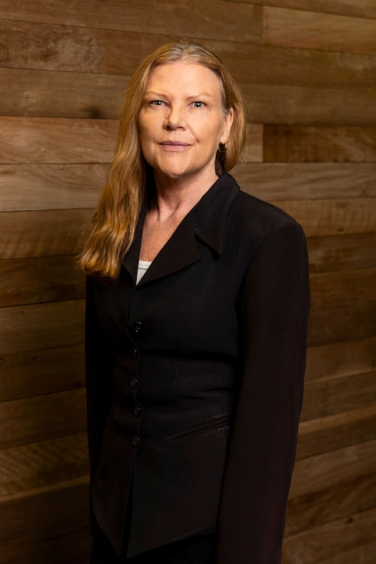 Website Team Photos - Karen Pitcher Finance Executive Ledge Finance