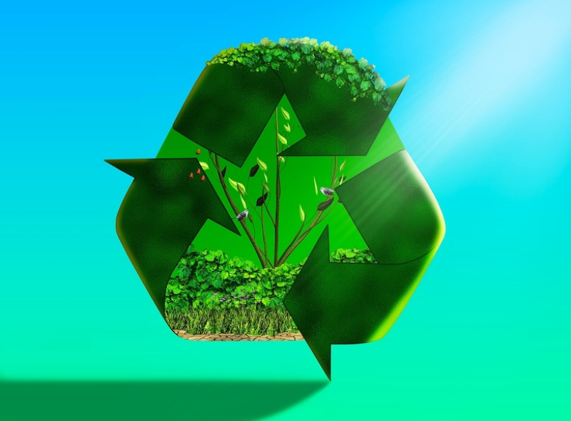 Recycled ecosystem sustainability
