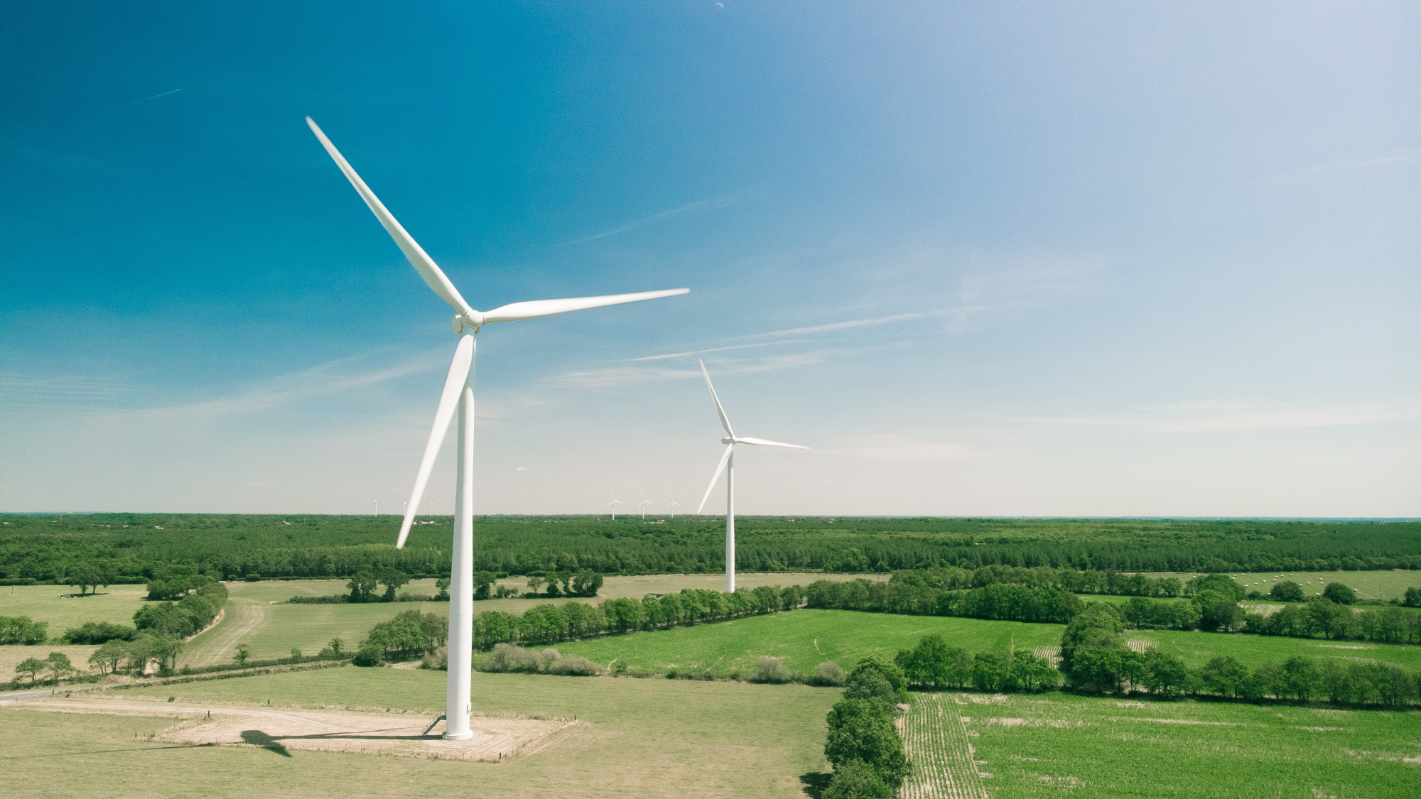 Wind turbines in field against blue sky