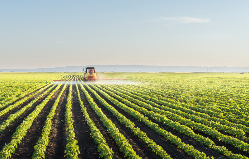 Tractor spraying soybean field at spring.