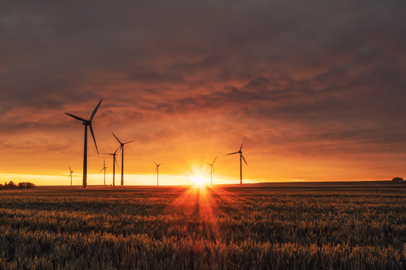wind turbines in the distance at dusk as part of ESG and regulator focus on greenwashing