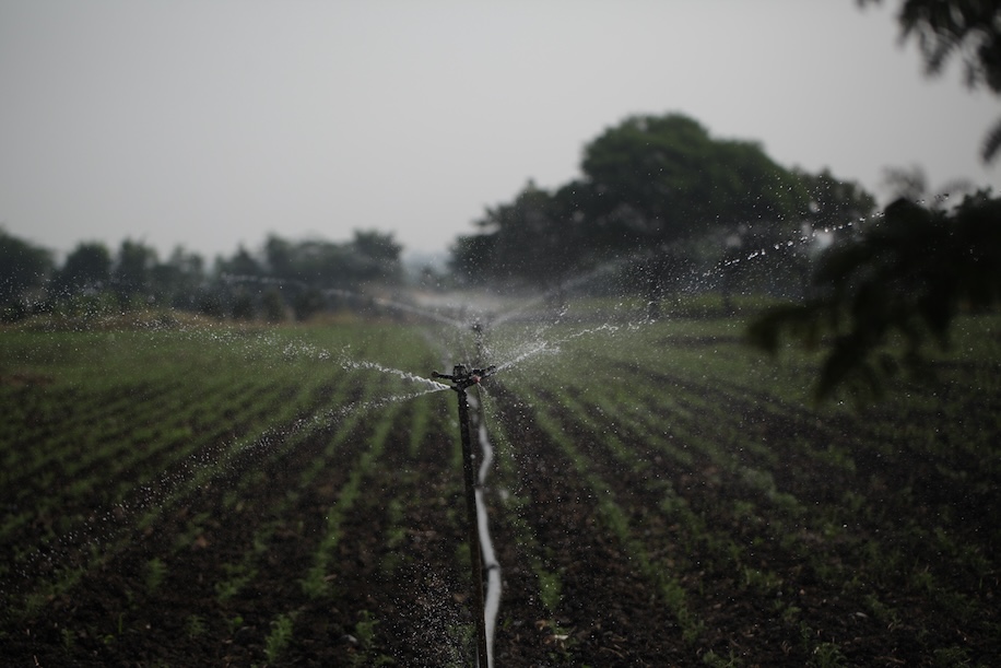 Water Corporation Capital Works Program 2026: What You Need to Know 1 crop reticulation